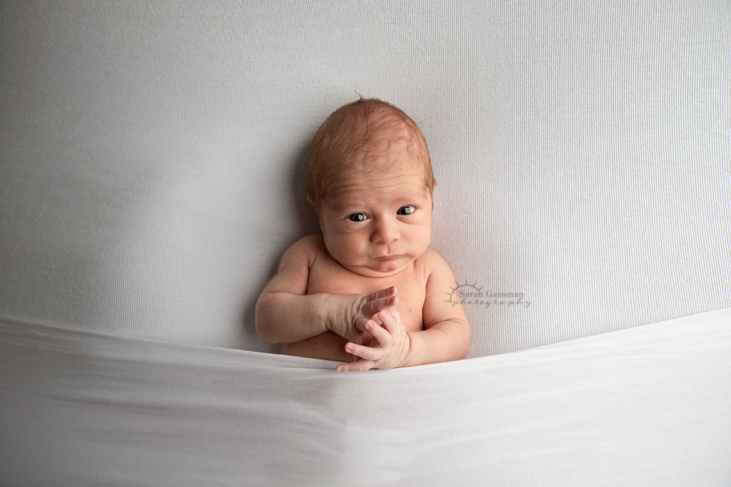 baby boy "tucked in" white backdrop and cover while awake during his Houston in-home newborn photos with Houston newborn photographer